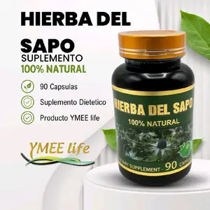100% Natural Toadstool Dietary Supplement - 90 Capsules, Herbal Nutrition & Wellness Supplement