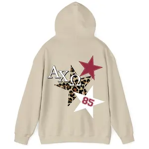 Custom Sorority Leopard Star Hoodie - Sorority Cheetah Print Hoodie, Sorority Merch, Aesthetic Greek Letter Sweatshirt, AXO Hoodie