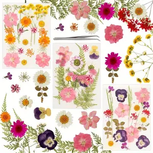 63 Pieces Dried Flowers, Natural Pressed Flowers, DIY Dried Flowers, Mixed Dried Leaves Daisies, for DIY Candles, Resin Jewellery, Nail Charms