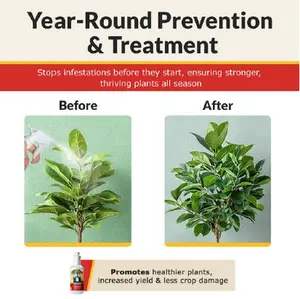 The Amazing Doctor Zymes Eliminator Super Concentrate - All-Natural Solution for Pest Control & Disease Prevention | Non-Toxic, Biodegradable Fruit Fly Killer, 32oz Bottle