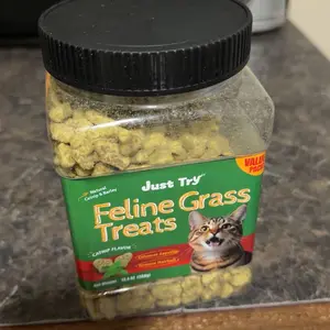 Just Try 2PCS Cat Grass Treats with Salmon & Catnip | Hairball control and Training treats | Teeth cleaning snack Reduce plaque  (13.4oz, Salmon & Catnip Flavor)