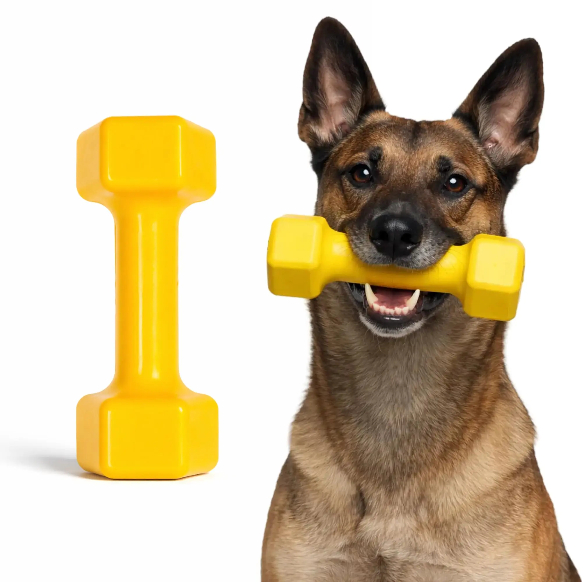 Dumbbell Dumbbell