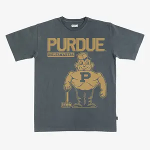 Purdue Monochromatic Heavy Tee, Crewneck Sweater, Hoodie