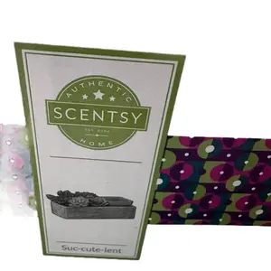 Scentsy Suc- cute -lent warmer