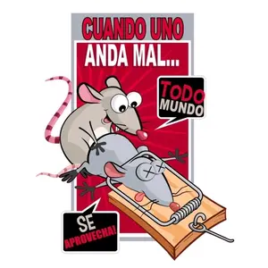 Custom Vinyl Textil Transfer - Vinil Textil Personalizado