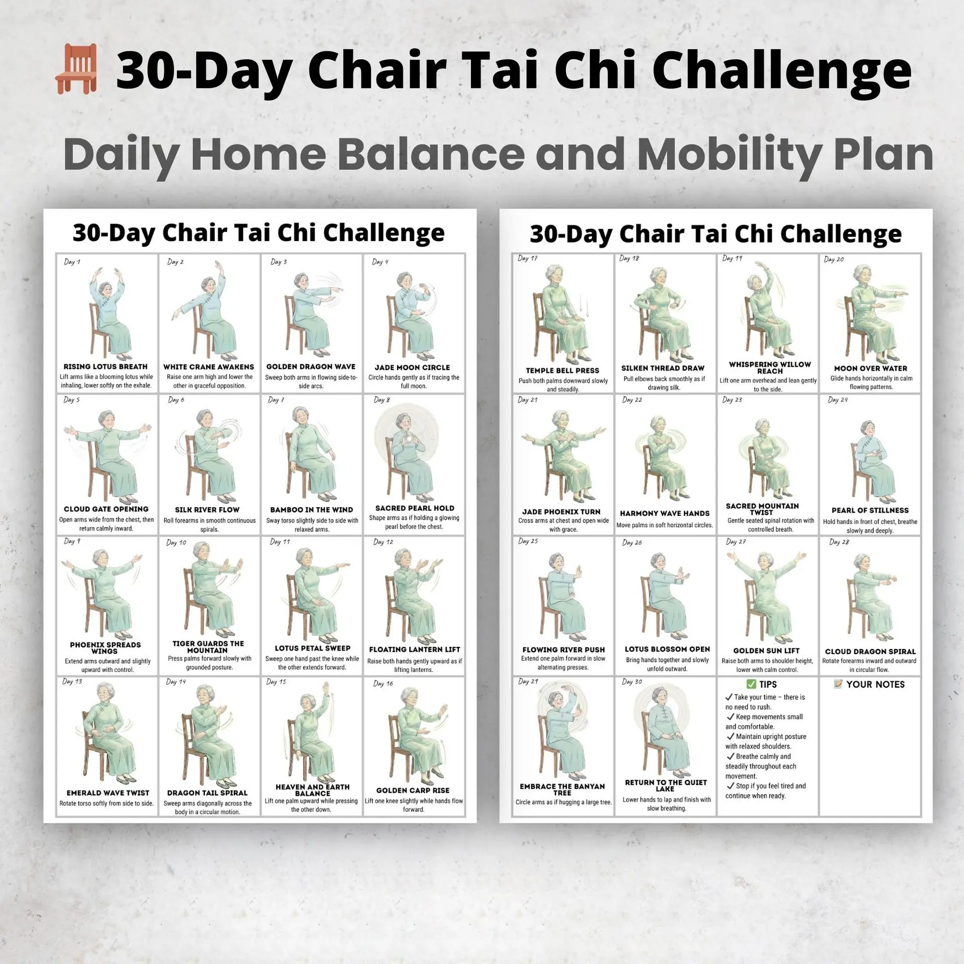 30-Day Tai Chi Challenge Chair Exercise Balance Chart, Beginner Friendly Sitting Workout Plan, Fitness Guide for Home Practice, Easy-To-Follow Instructions, Clear Diagrams