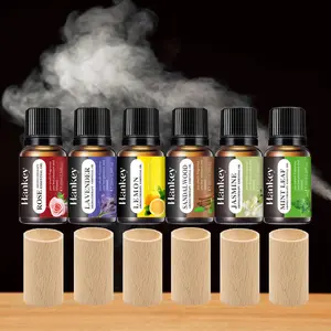 Long-lasting Scented Essential Oil, 1 Count Aromatherapy Essential Oil with Wood Diffuser Stick, Home Fragrance for Bedroom, Living Room, Bathroom, Office