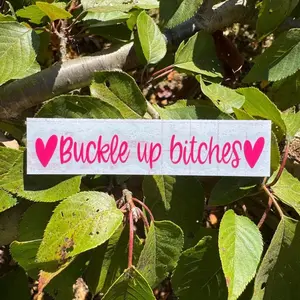 Buckle Up Bitches Decal - Waterproof Permanent Vinyl Sticker in Bright Colors for Smooth Non-Porous Surfaces - Various Sizes Available