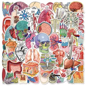 Human Organ Anatomy Series Sticker, 50pcs/set Creative Multi-purpose Sticker, DIY Decorative Sticker for Scrapbooking, Journaling, Gift Wrapping, Stickers Kit, Sticker Paper, Decal Sticker