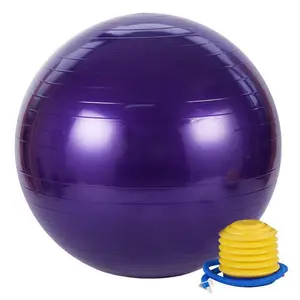 Yoga Exercise Ball with Quick Pump - Stability, Balance, Core Strength, Pilates, Fitness, Home Workout, Pregnancy & Birthing, Therapy, Gym Training, Anti-Burst, Non-Slip | Purple, 65cm