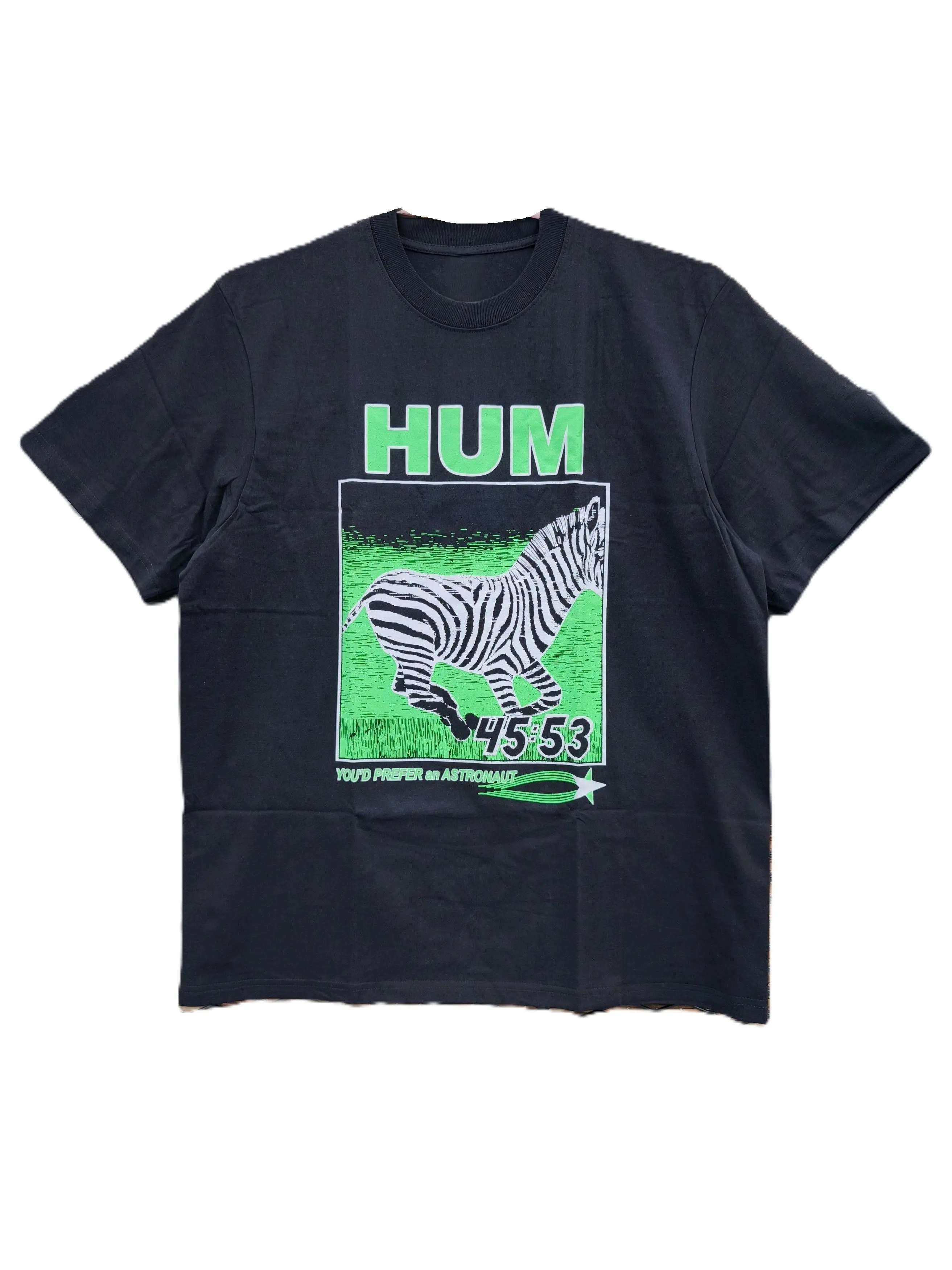 Y2K Hum You Prefer An Astronaut Zebra T-Shirt