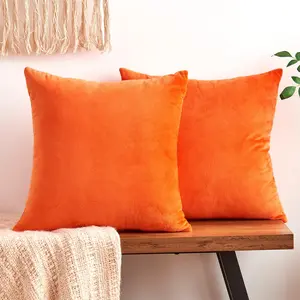 Decorative Velvet Fall Orange Throw Pillow Covers Set of 2 18x18 Inch, Soft Burnt Orange Pillowcases for Couch Sofa Bed Living Room, Farmhouse Boho Decor Accent Cushion Covers
