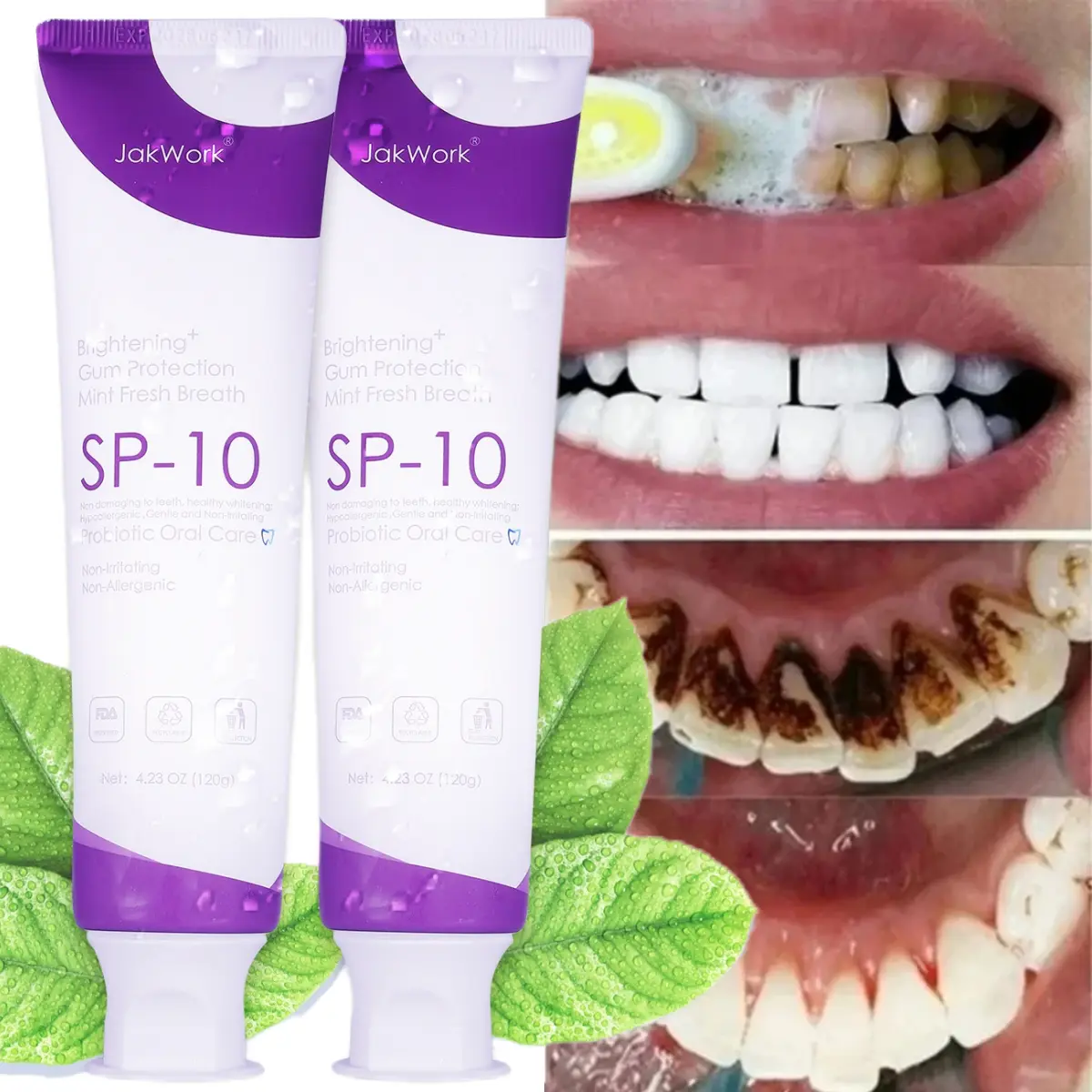 SP-10 Oral Probiotic Toothpaste - Fresh Mint Flavor, Fresh Breath, Stain Remover, Peroxide-Free Toothpaste with Purple Teeth Whitening Booster Serum (Single Item)