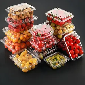 50-Pack Hinged Lid Clear Plastic Clam Shell Food Containers, Square Disposable Takeaway Boxes for Cake Slices, Pastries, Salads, Desserts, Sandwiches & Fruit
