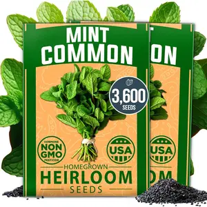 Mint Seeds for Planting Indoors & Outdoors – Heirloom Mint Seeds Mix, Peppermint, Spearmint & Common Mint for Tea, Cooking & Hydroponic Herb Garden