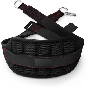 Belt for Belt Squats, Rack Attachment and Squat Machine, Structured  Support, Stays Low During Down Movement, Padded  & Thigh Area, Buckle Strap - No Sliding Down, Heavy Duty