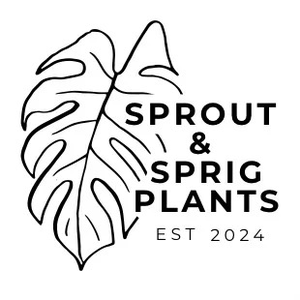 Sprout and Sprig Plants
