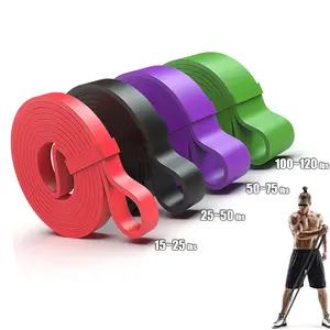 Resistance Band, Pull Up Assistance, Multi-Level exercise bands, workout equipment for Men/Women full-body Training, durable elastic band for workout, Stretching Gear, home gym equipment