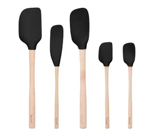 Tovolo Flex-Core Wood Handled Spatula Set of 5