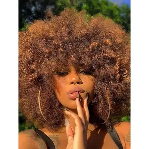 Afro Wig 14Inch Afro Wigs for Black Women 70s Mixed Brown Afro Kinky Curly Wig Bouncy Huge  Puff Wigs Synthetic Hair for  Daily and Party (Mixed Brown)