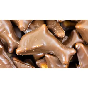 Chocolate Covered Foam Dolphins