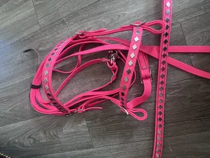 Stainless steel diamond bridle set