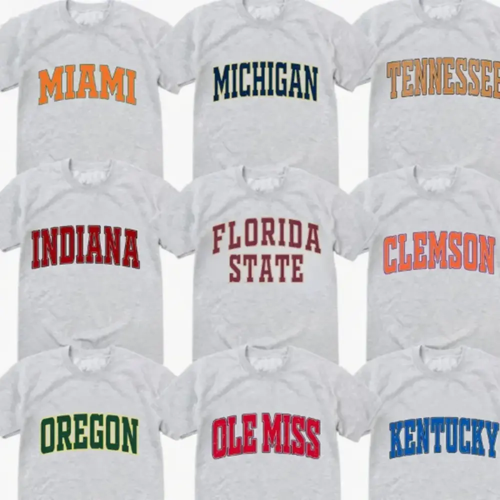 Vintage College Varsity Graphic T Shirt, Ash Grey Color, Retro University Team Tee, Game Day Streetwear Apparel, Gift For Sports Fans