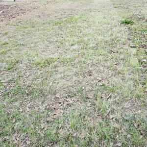 VEVOR Push Lawn Sweeper 21-Inch Leaf & Grass Collector with 3.5 cu. ft. Mesh Collection Hopper Bag,  2 Spinning Brushes & Strong Rubber Wheels VEVOR Super Brand Day