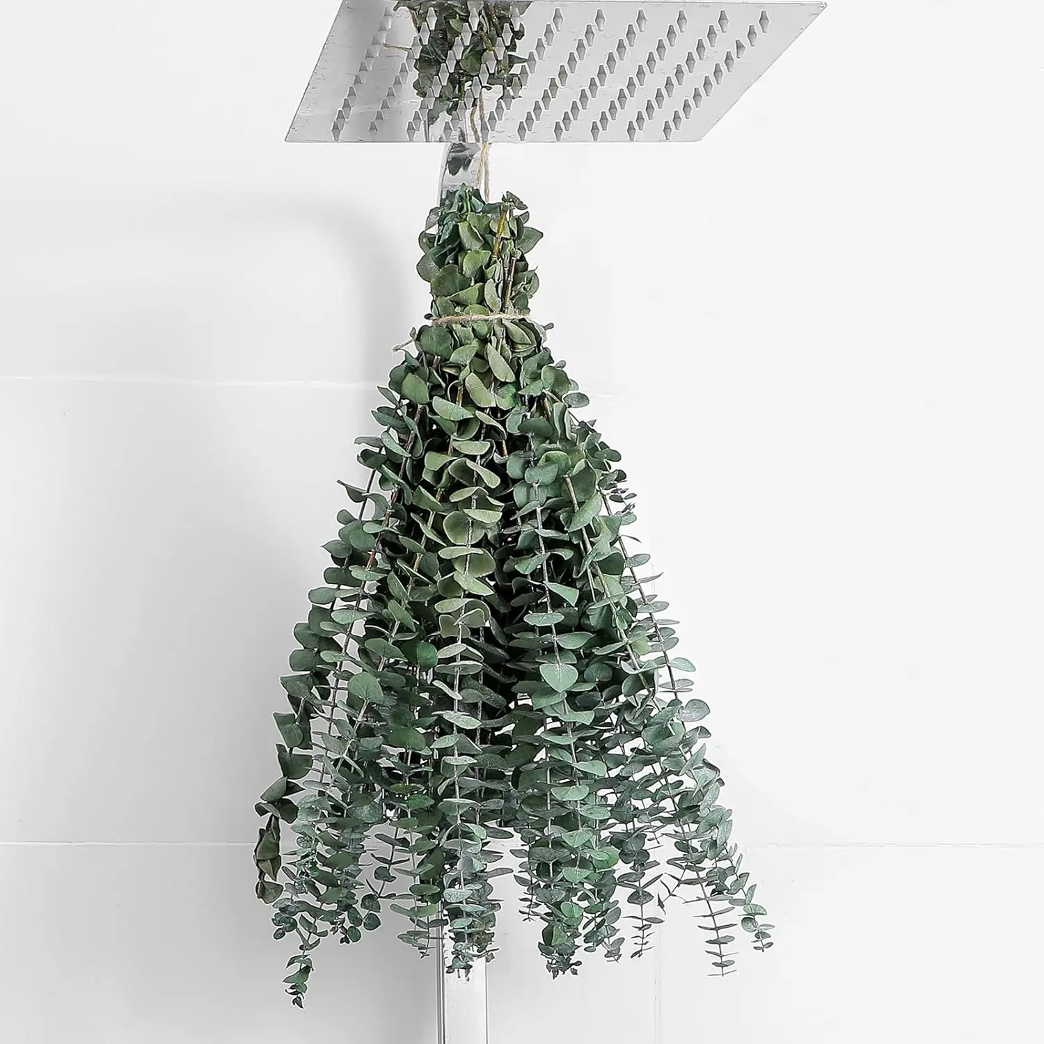 10 Pcs Dried Eucalyptus Stems 17" Real Eucalyptus for Shower Hanging | 100% Made from Fresh Eucalyptus Stems, Bathroom Decor Home Decor Wedding, Home, Farmhouse, DIY Spring Decor