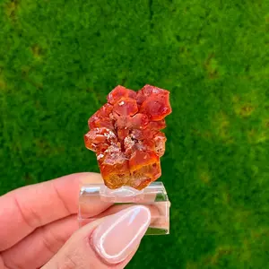Red Vanadanite Cluster from Morocco | Large Crystal | Vivid Red