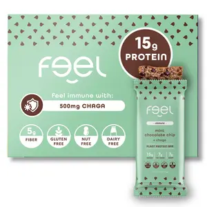 Feel Bars – Vegan Protein Bars | Mint Chocolate Chip – 10 Pack | 15g Plant Protein | Chaga Mushroom | Keto | Organic | Gluten Free, No Nuts, No Soy, No Dairy, No Grains