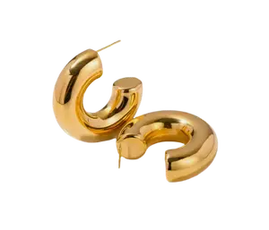 Chunky Hoop Earrings