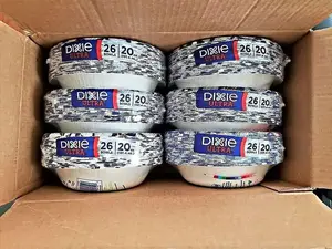 100 Count Printed Disposable Plate 10 Oz Microwave-Safe