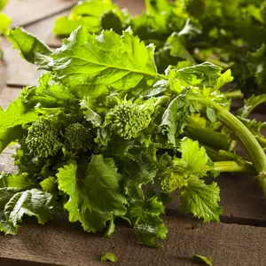Spring Raab Broccoli (Brassica rapa subsp. rapa) Heirloom Seeds – Nutty Mustard-Like Flavor, Fast-Growing Cool-Season Green