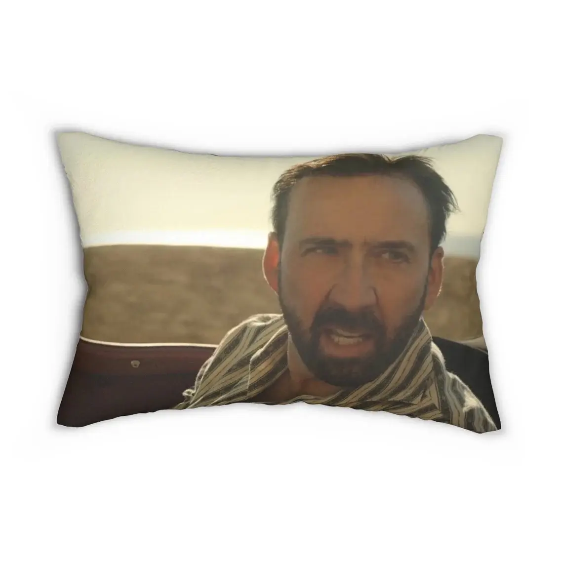 Nic Cage And Pedro Pascal pillow