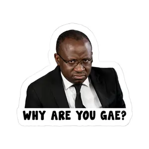 Meme Funny Sticker Why are you GAE ? Sticker meme
