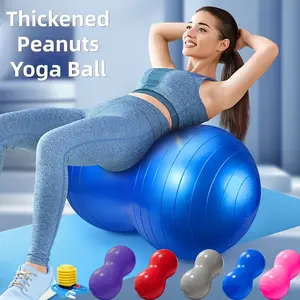 Thick Yoga Ball with Inflatable Pump, Sensory Training Ball, Fitness Ball, Rehabilitation Exercise Ball, Massage Ball, Core Exercise Equipment, Indoor Outdoor Use