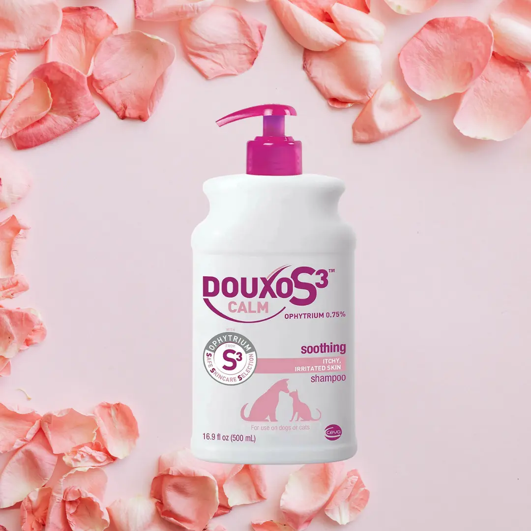 Douxo S3 Calm Hypoallergenic Grooming Shampoo for Dogs & Cats - 6.7 oz (200 ml) Pump Bottle, Balances Skin, Soothes Itchy Irritated Skin