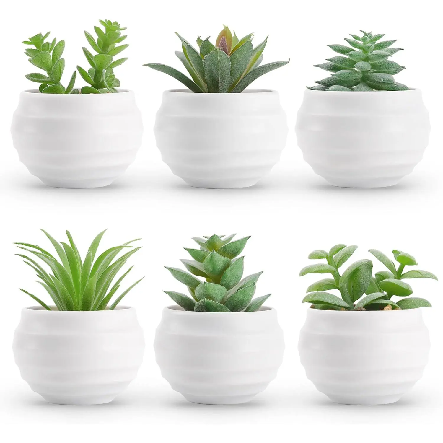 Decorative Artificial Succulents, Set of 6 Minimalist Plastic Plants in Small Pots for Aesthetic Home & Office Decor, Birthday Gifts, Home Decor, The Rose, Ornaments, Bathroom, Six Pieces