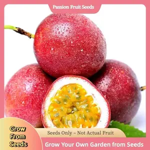 100 Pcs Organic Passion Fruit Seeds – Sweet Tropical Flavor, Fast-Growing Vines with Abundant, Fragrant Harvest