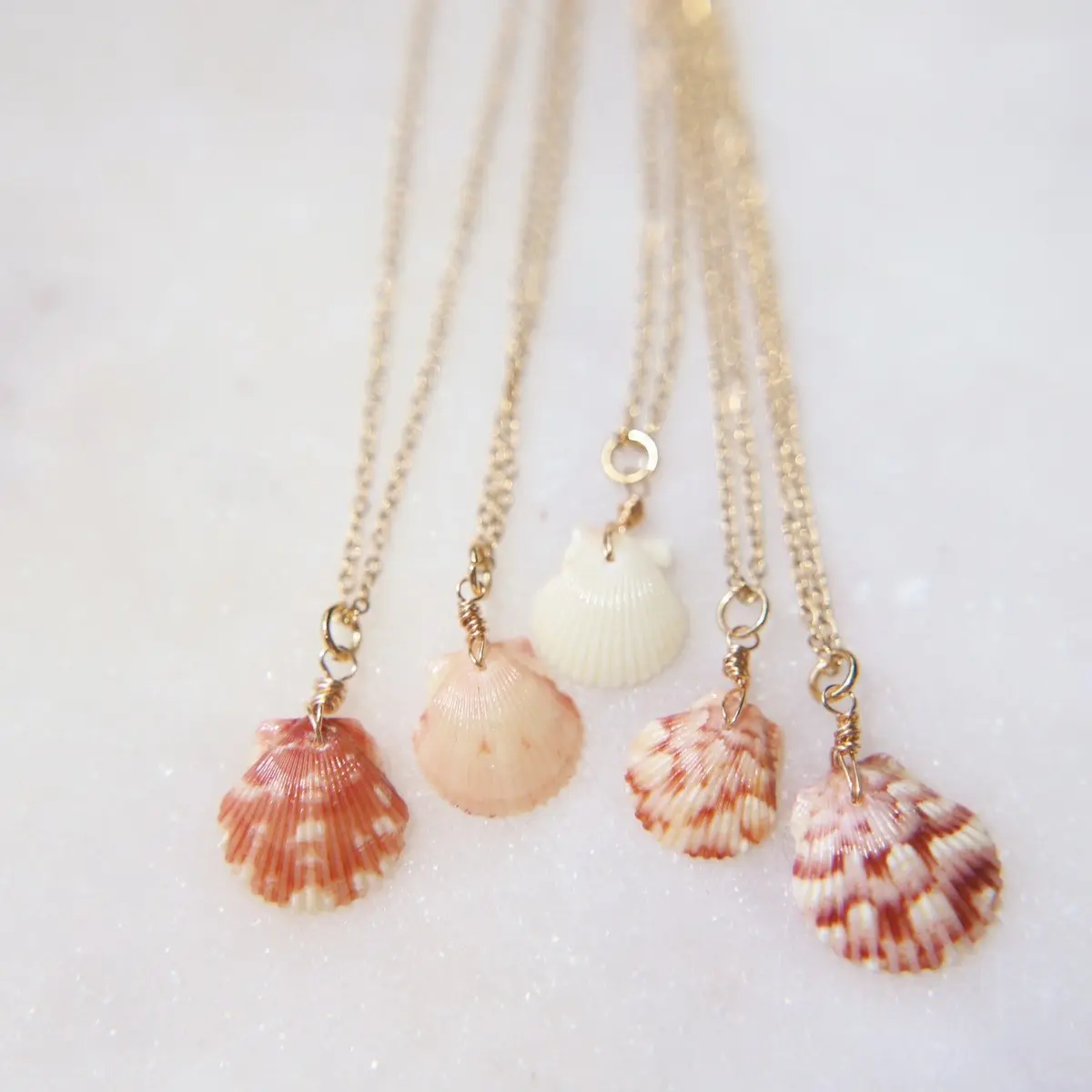Sea shell necklace