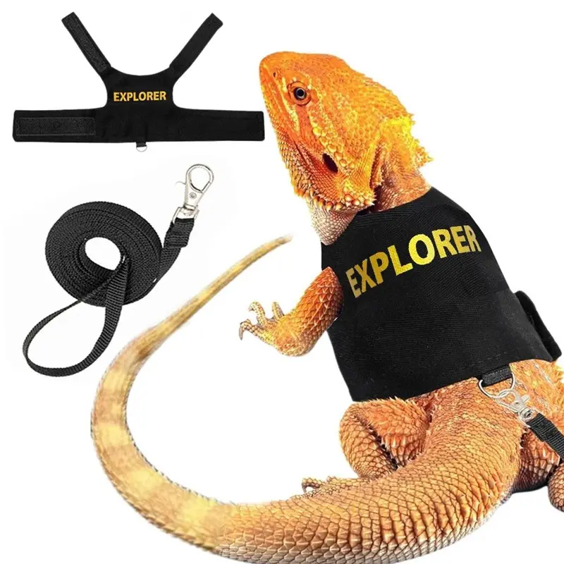 Lizard Harness Leash, Chameleon & Squirrel Pet Carrier Strap, Small Animal Outing Vest, Comfortable Outdoor Gear for Reptiles