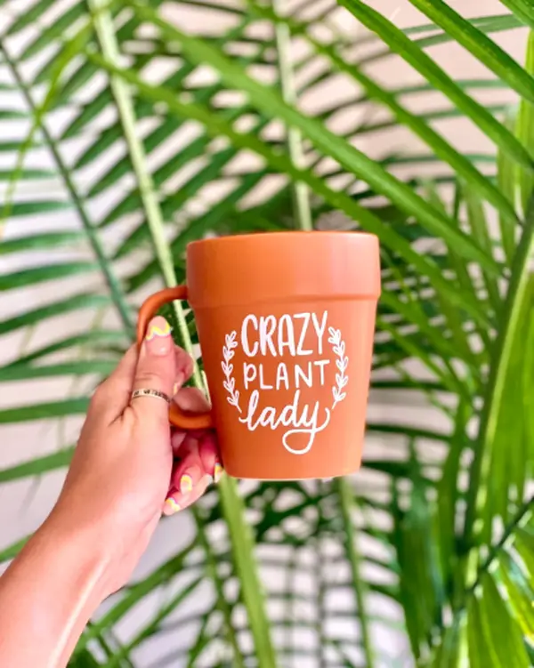 Crazy Plant Lady Terracotta Coffee Tea Mug, Succulent Planter, Mom, Christmas, Birthday, Mother's Day, Gardening, Garden, Kitchen Home Decor, Patio