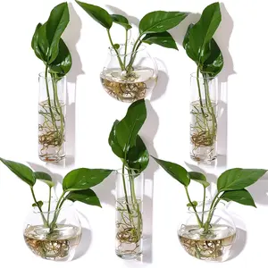 6 count Glass Wall  Vase Indoor Propagation Planter with  Suction Cup and Plastic Invisible Traceless Hanger for Hydroponic Flower Succulent Spring Summer Wedding Wall Mount Decor