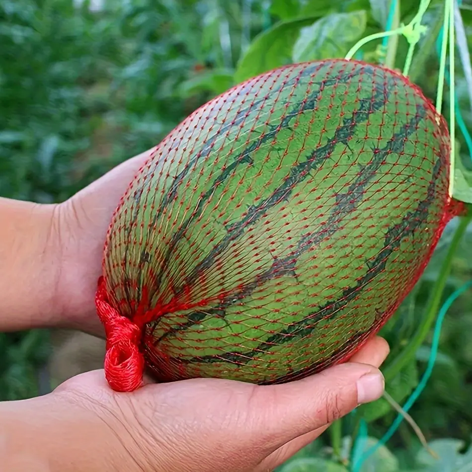 100pcs, Watermelon Nets, Hanging Reusable Watermelon Nets Bags Melon Hammocks Cradles For Supporting Garden Growing Cantaloupes, Vegetables, Honeydew, Cucumbers, Plant Support Structures, Garden Essentials, Garden Supplies
