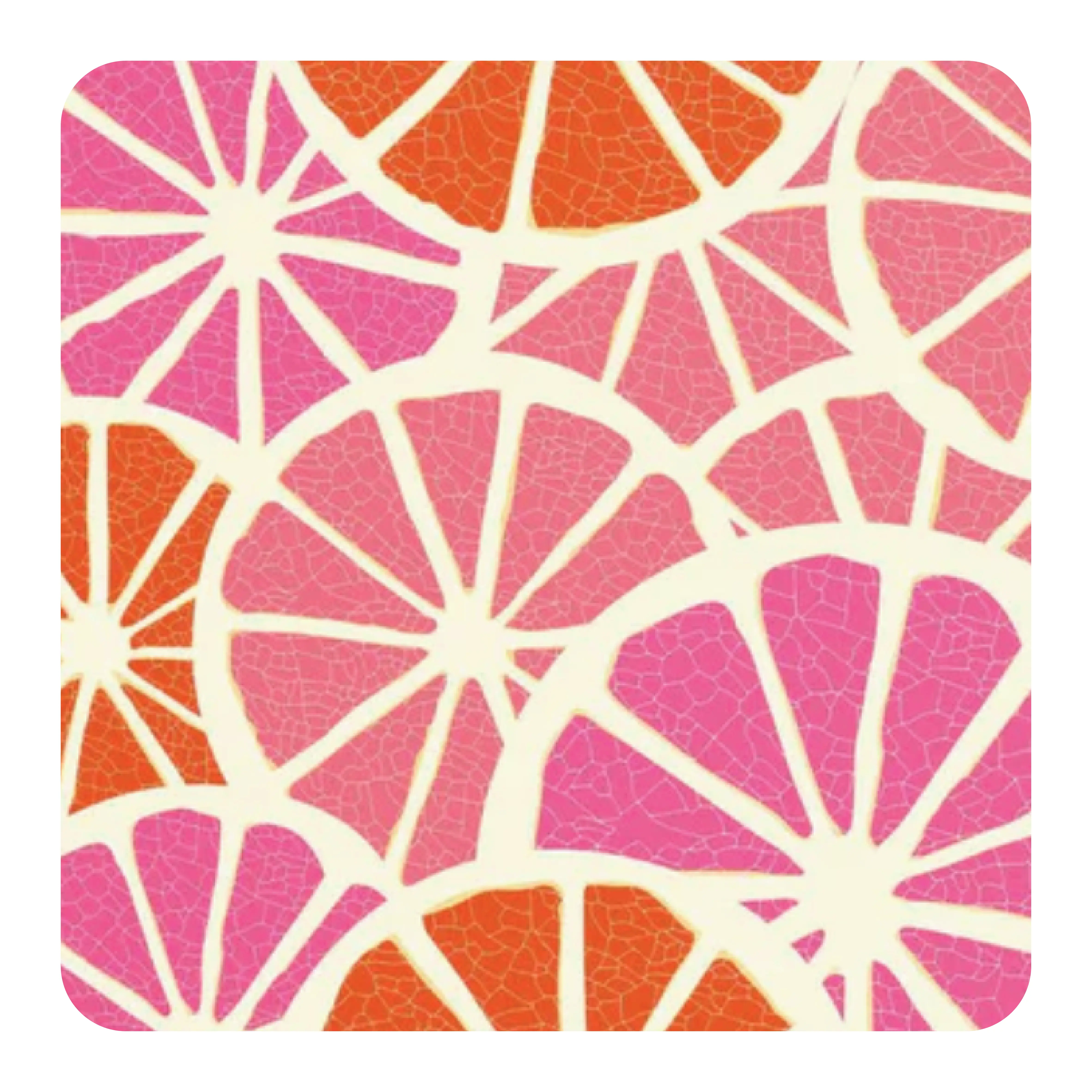 Grapefruit Grapefruit