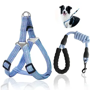 Adjustable No-Pull Dog Walking Harness Set with Leash, Includes 2 Clips and Padded Handle, Suitable for Small Medium Large Dogs (blue)