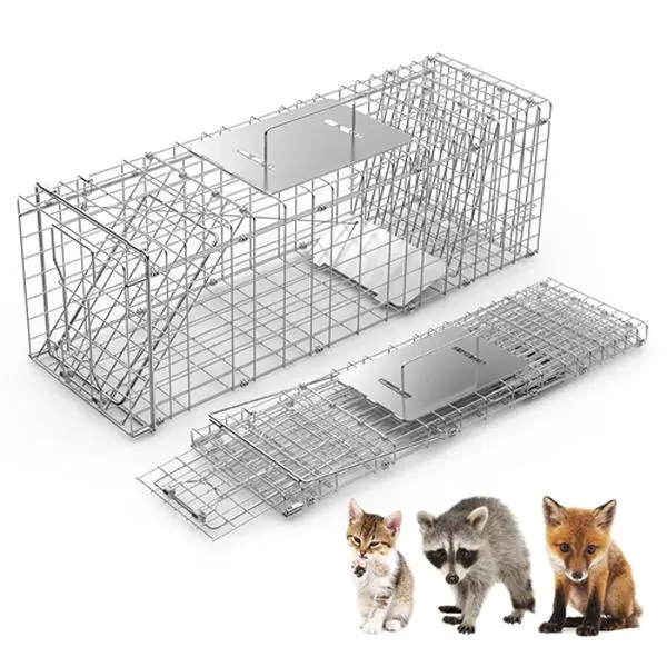 iMountek 31" Heavy Duty Collapsible Humane Live Animal Trap Cage - Easy Setup for Stray Cats, Raccoons - Farm & Pet Supplies Enclosure (Excludes Unrelated Spotlight, Egg Incubator Elements)
