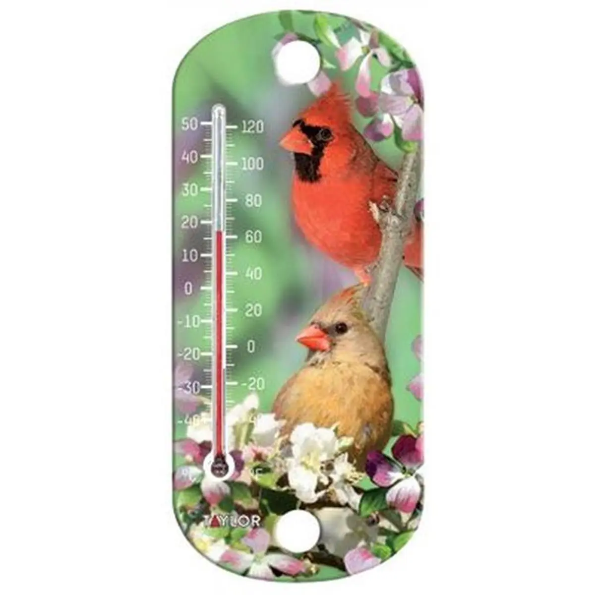 Taylor 90151-000-000 Model 212 MAIN Decorative Thermometer - Home & Garden Use, Bird Graphics, Suction Cup