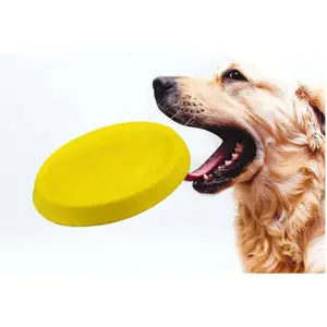 Pet Dogs Throwing Plastic Toys